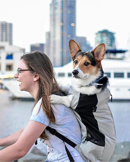 Hunde Rucksack Atmungsaktiv für kleine Hunde