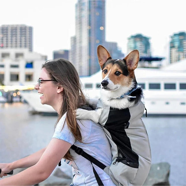 Hunde Rucksack Atmungsaktiv für kleine Hunde