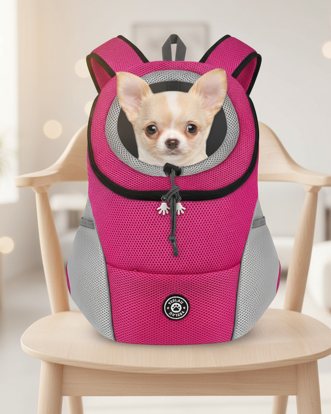 hunde-rucksack-pink-atmungsaktiv - lifestyle