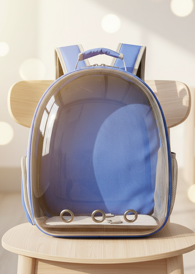 katzen-rucksack-transparent-blau-atmungsaktiv - lifestyle