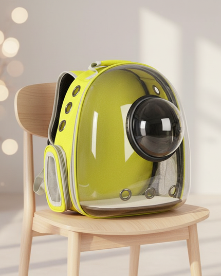 katzen-rucksack-transparent-kleine-hunde - lifestyle
